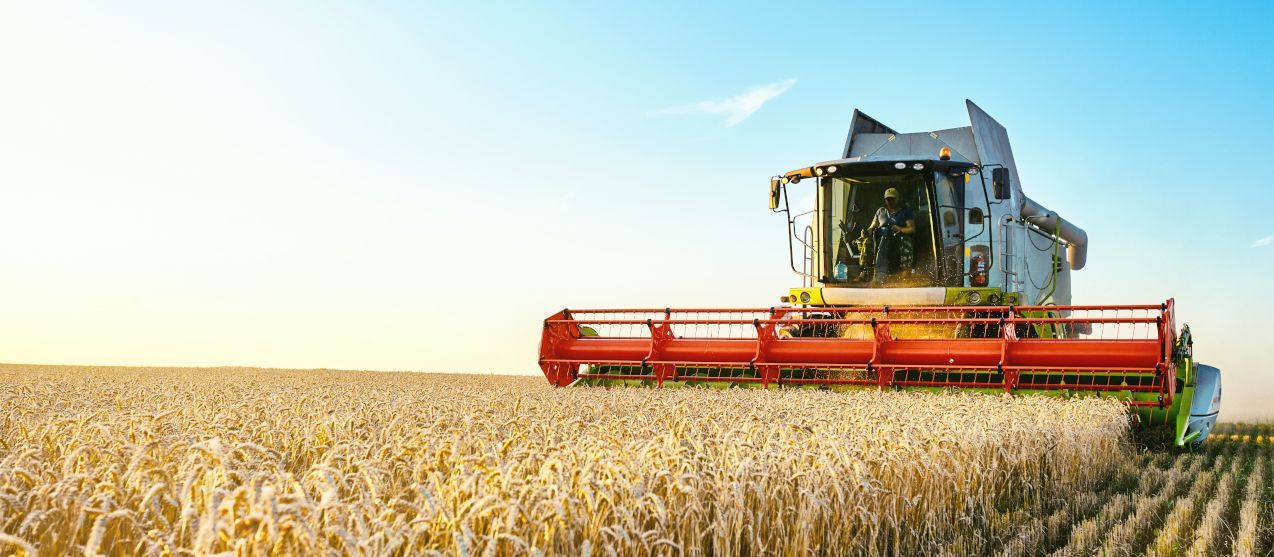 Foto: shutterstock Mähdrescher erntet reifen Weizen. Landwirtschaft