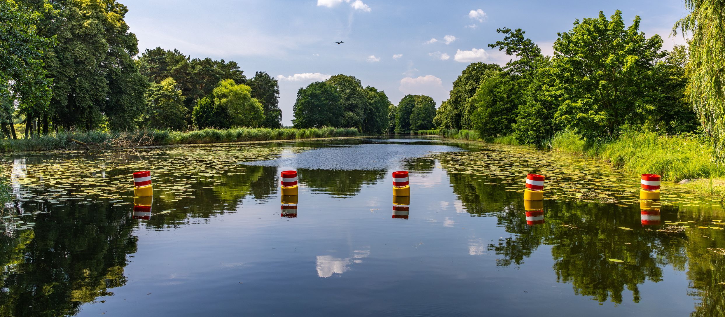 Foto: Lars Wiedemann
