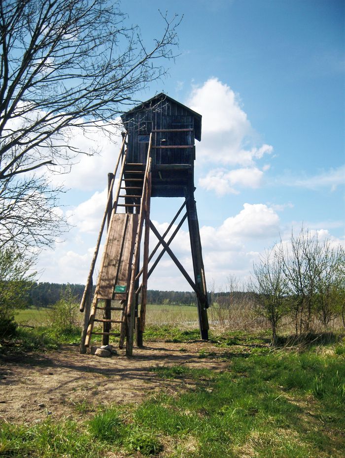 Schulsee-Wanderweg