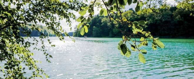 Foto: Liebnitzsee / Torsten Stapel