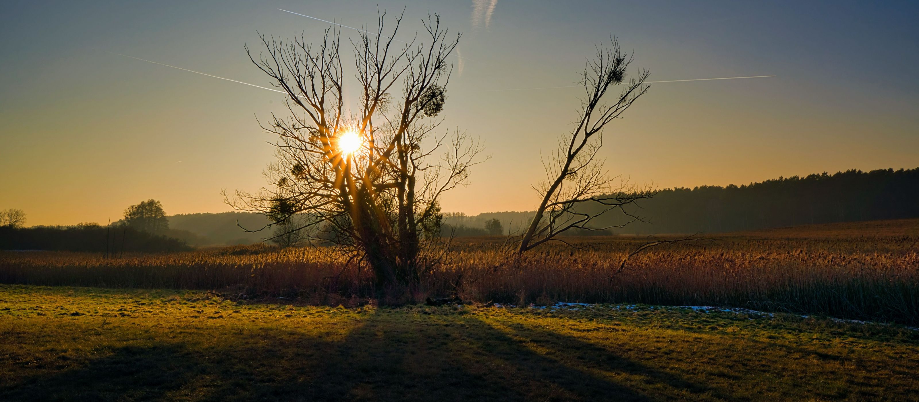 Foto: René Schattenberg. Biesenthal
