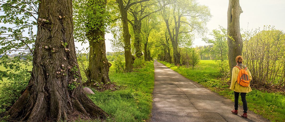 Eine schmale Straße führt durch eine Landschaft im Staat
