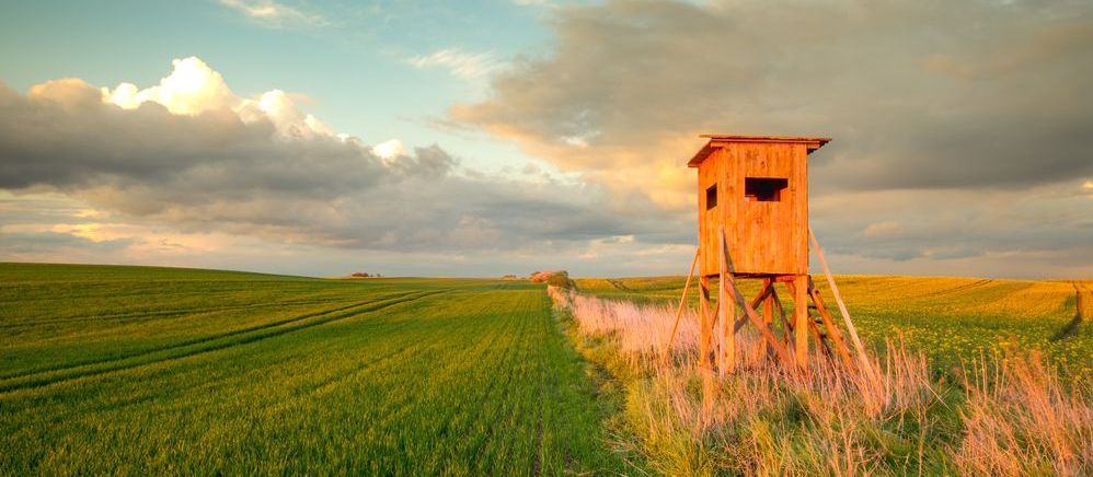 Foto: shutterstock Frühlingsfeld in Deutschland, landwirtschaftliche Flächen in Brandenburg