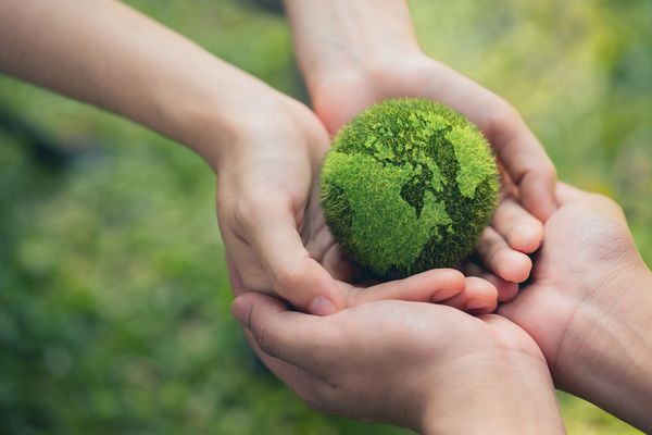 Environment,Earth,Day,In,The,Hands,Holding,Green,Earth,On