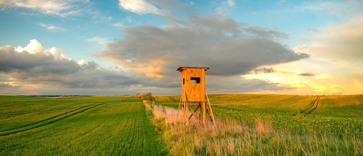 619056617 Foto: shutterstock.com