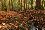 Foto: shutterstock
