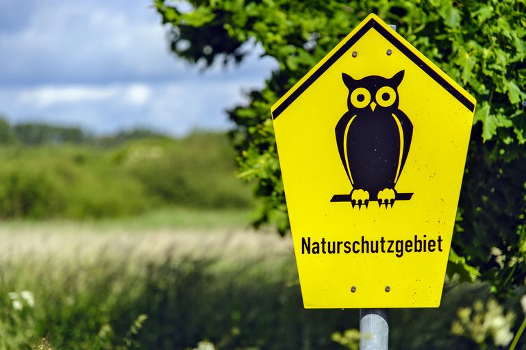 Gelbes Schild mit schwarzer Euler und Schriftzug Naturschutzgebiet
