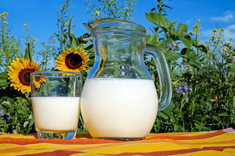 Foto: Milk / pixabay.com