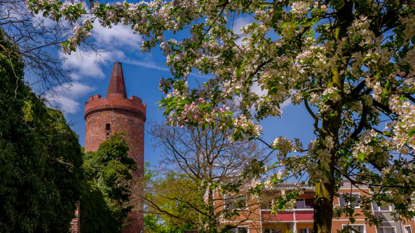 Foto: Bernau / Torsten Stapel