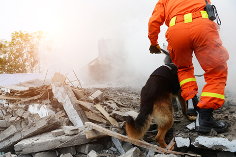 Search,And,Rescue,Forces,Search,Through,A,Destroyed,Building,With
